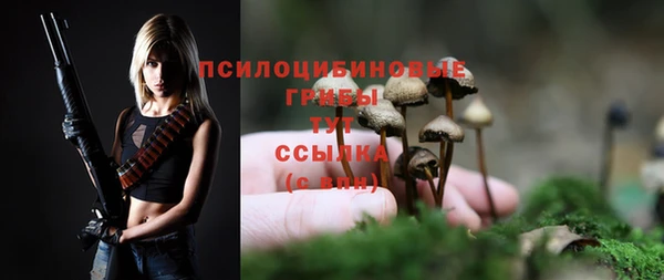 сатива Вязники