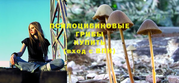 сатива Вязники